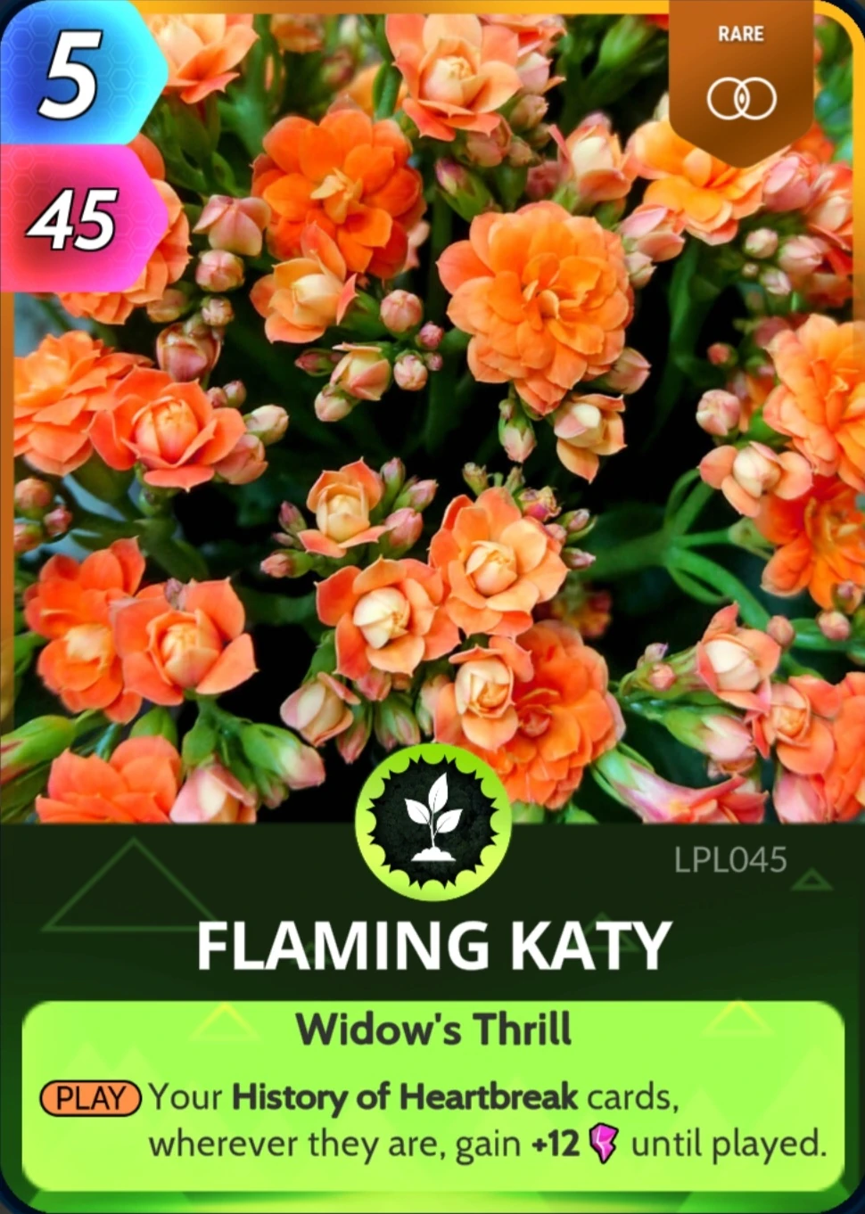 Flaming Katy Cards, the Universe and Everything Wiki Fandom