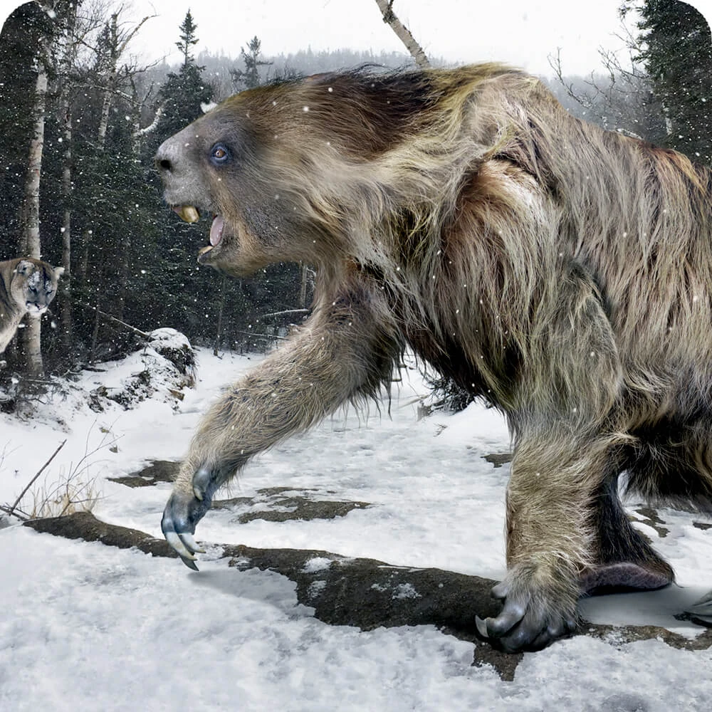 Megalonyx Cards, the Universe and Everything Wiki Fandom