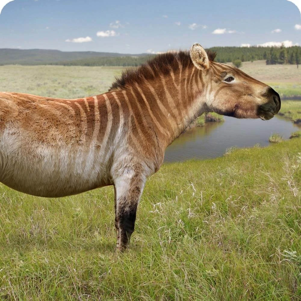 Hagerman Horse Cards, the Universe and Everything Wiki Fandom