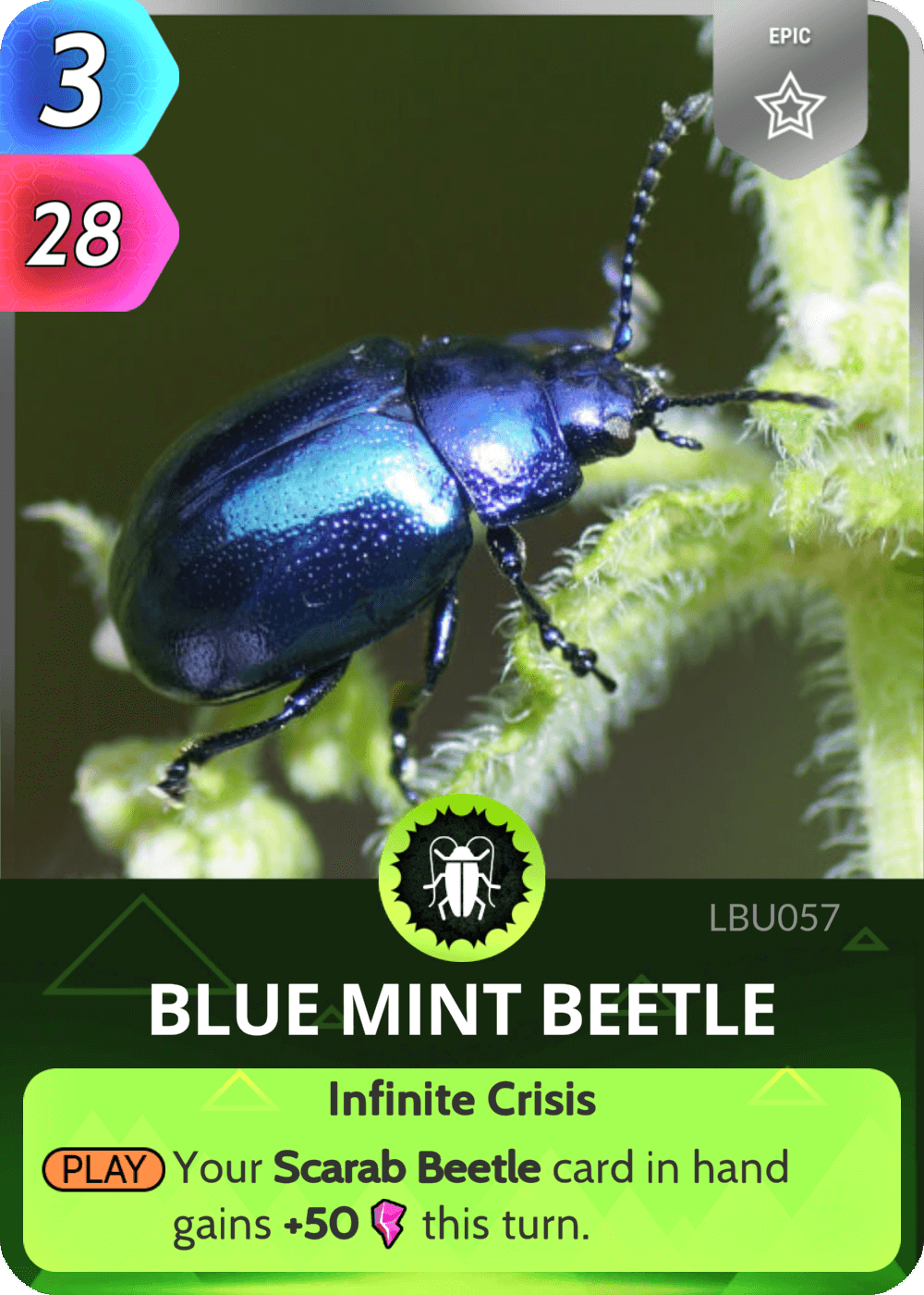 Blue Mint Beetle Cards the Universe and Everything Wiki Fandom