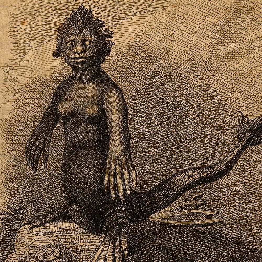 Fiji Mermaid | Cards, the Universe and Everything Wiki | Fandom