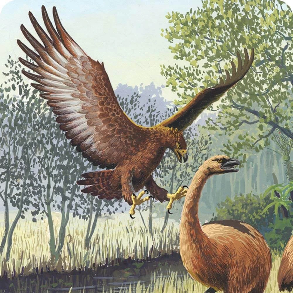 Haast's Eagle Cards, the Universe and Everything Wiki Fandom