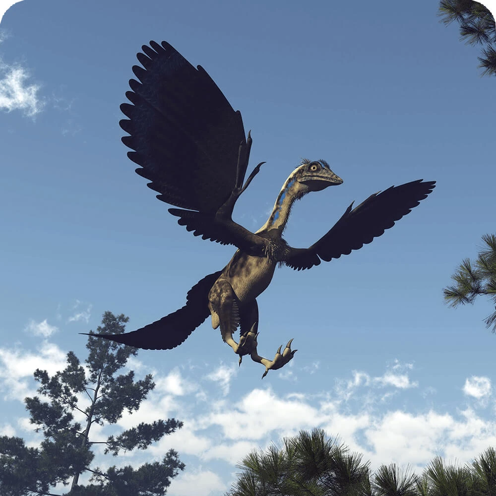 Archaeopteryx Cards, the Universe and Everything Wiki Fandom