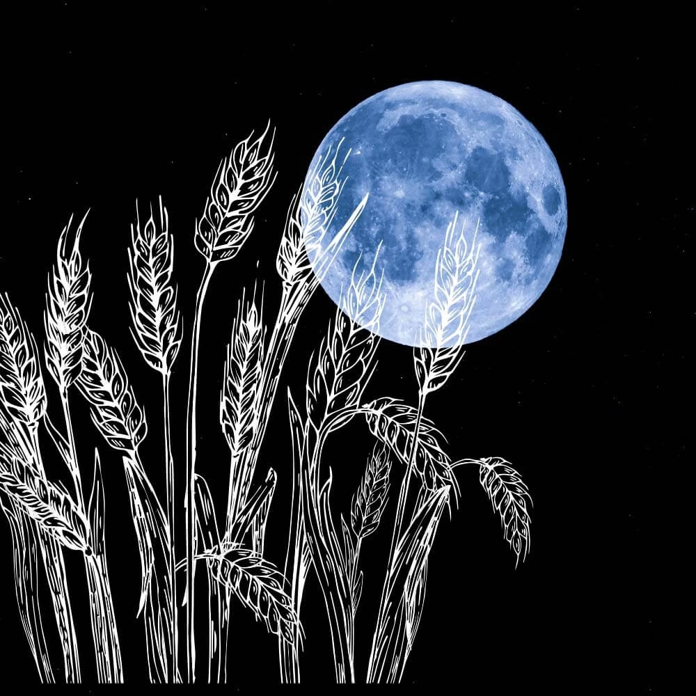 Harvest Moon | Cards, the Universe and Everything Wiki | Fandom