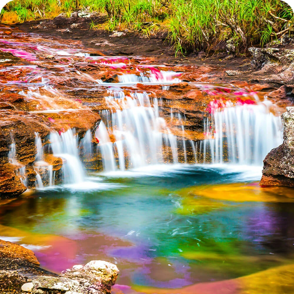Caño Cristales | Cards, the Universe and Everything Wiki | Fandom