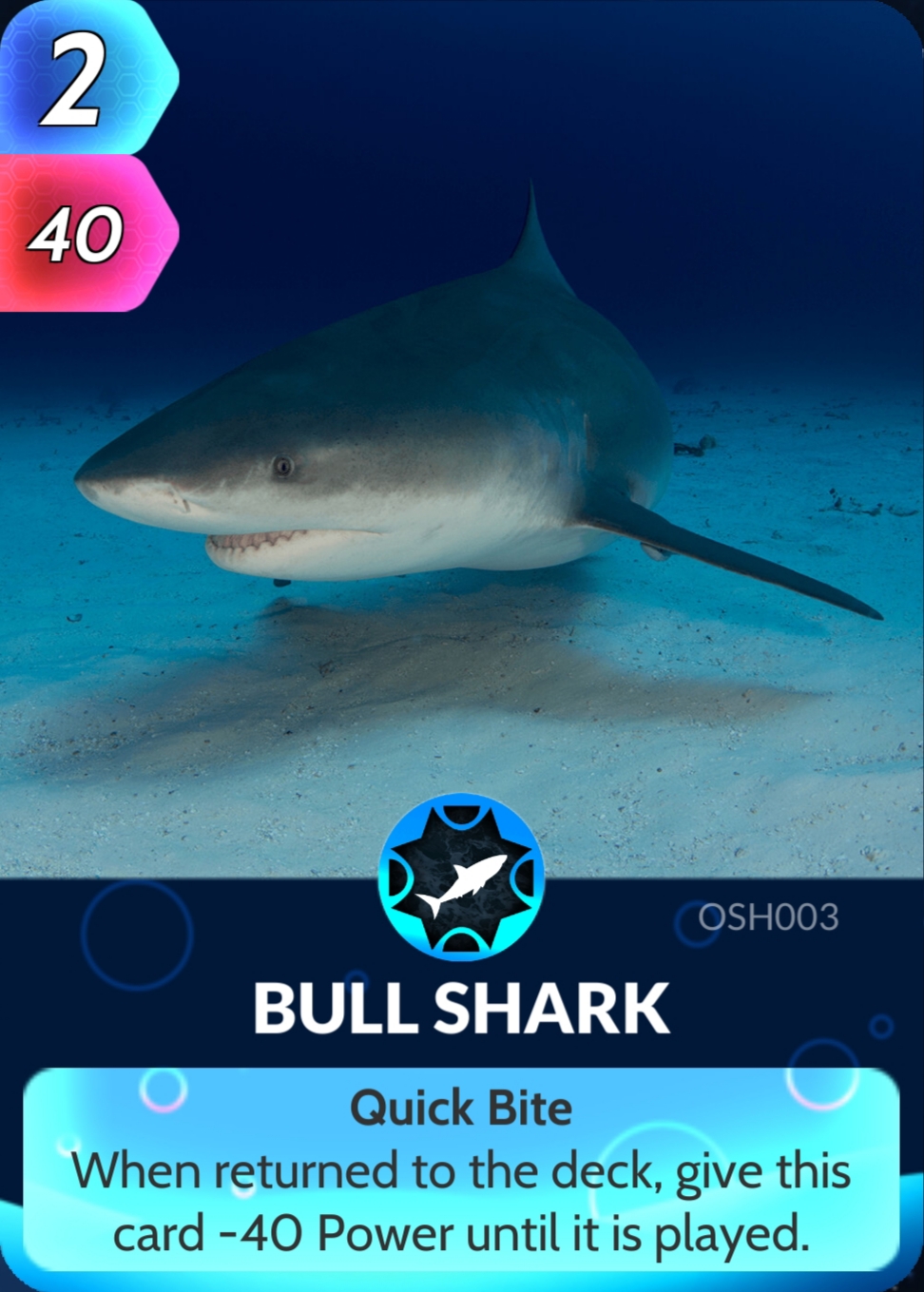 Bull Shark | Cards, the Universe and Everything Wiki | Fandom