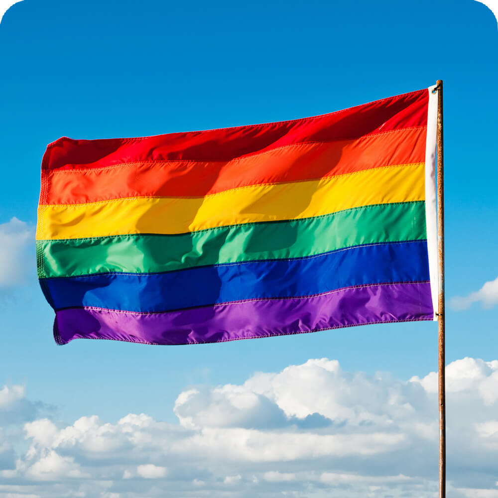 Pride Flag | Cards, the Universe and Everything Wiki | Fandom