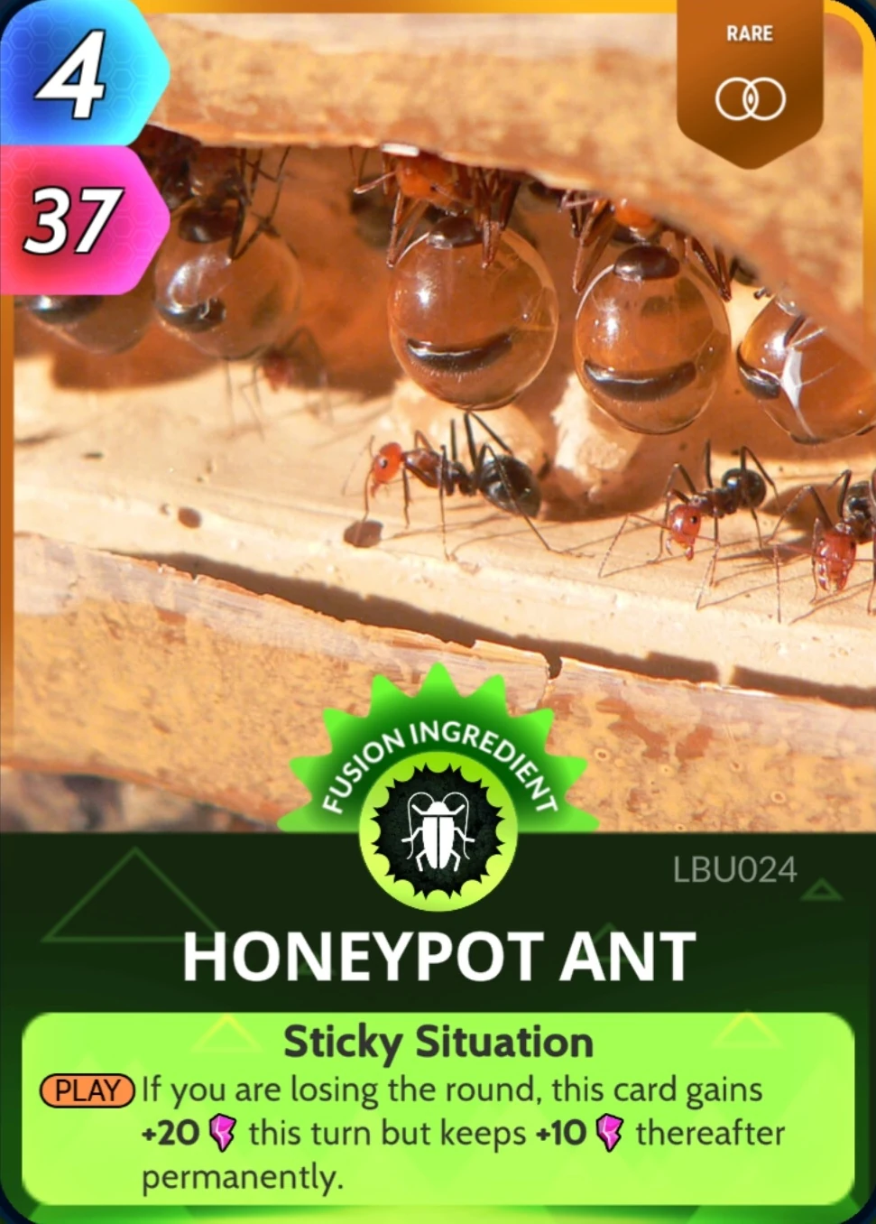 Honeypot Ant Cards, the Universe and Everything Wiki Fandom