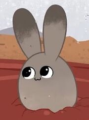 Dustbunnies dustup