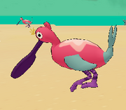 Flingmingo caringquest