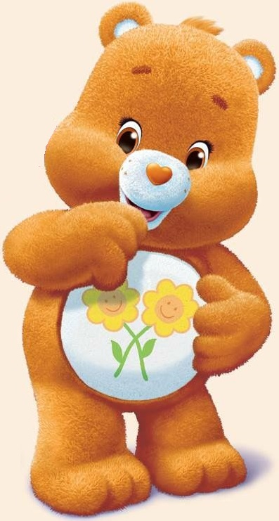 Care Bears Care Bear Friendship Bear Plush Orange & Flowers  2003 Teddy Bear Stuffed Toy 