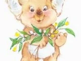 The Koala