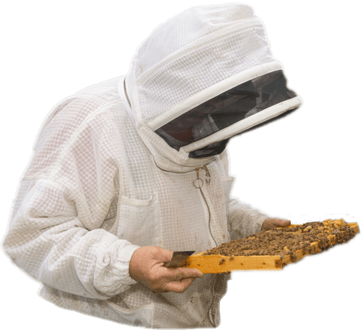 Beekeeper - Wikipedia