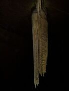 Stalactite in Doolin Cave, Ireland measuring 20ft (6.54m) long.