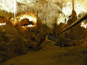 Carlsbad Caverns rail pic