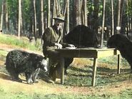 Bear dinner 1922