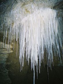 Gardeners Guts Speleothem Straws