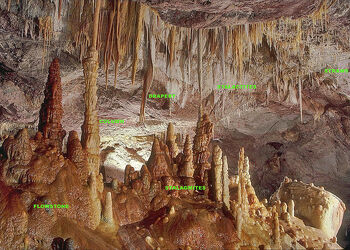 Labeled speleothems