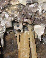 Helictite at Treak Cavern (close up)