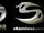 Stainless Software Ltd