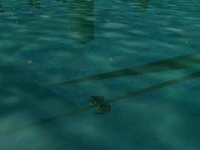 A screenshot of the glitch in action.