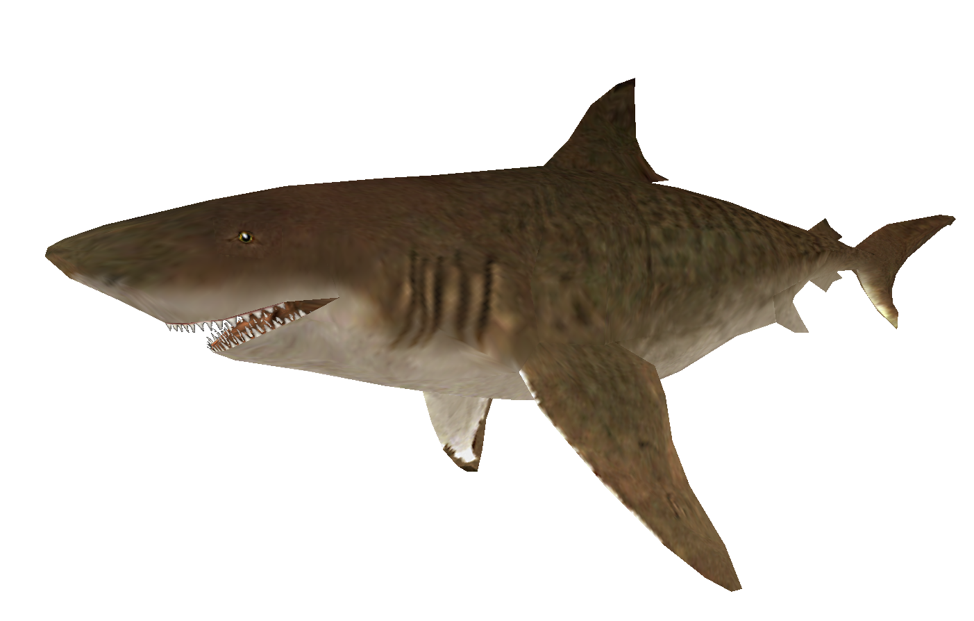 Shark! Hunting the Great White - Carnivores Wiki