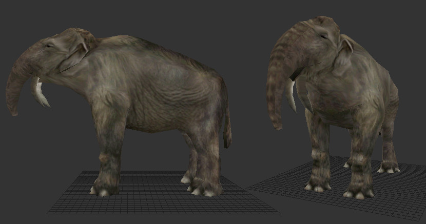Deinotherium spp. - Carnivora