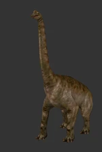 Brachcropped.png