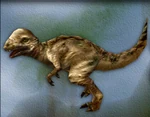 Carnivores Pachycephalosaurus.png