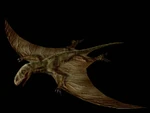 Dimorphodon.jpg