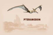 Pteranodon