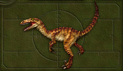 Velociraptor - Carnivores Wiki