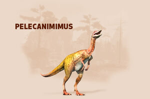 Pelecanimimus