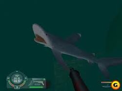 Shark! Hunting the Great White Download (2001 Sports Game)