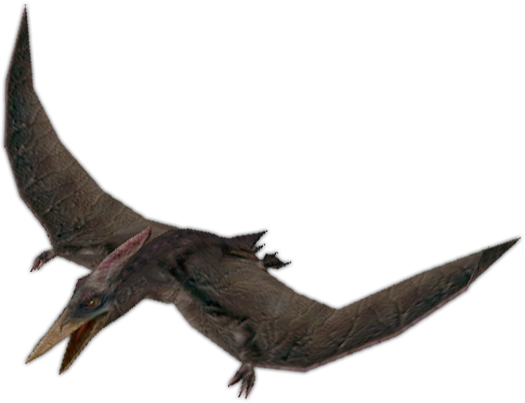 Pteranodon  Dinosaur Corporation