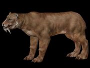 Smilodon