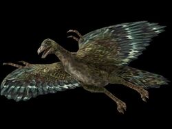 Official Action Forms Archaeopteryx render