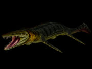 Tylosaurus