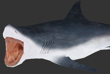 Great White - Wikipedia