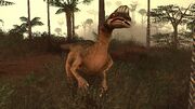 Oviraptor