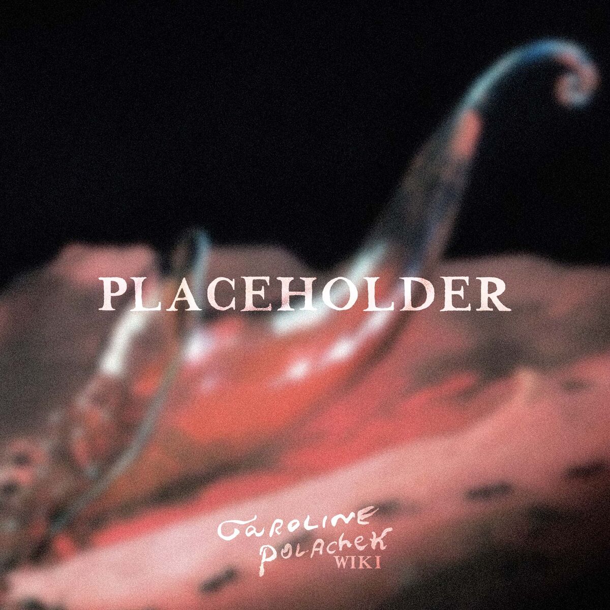 Caroline Polachek　直筆サイン入りレコード Caroline Polachek LP 直筆サイン入り