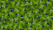 1961 disruptive camouflage