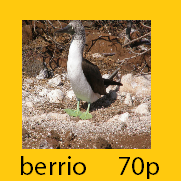 Berrio stamp