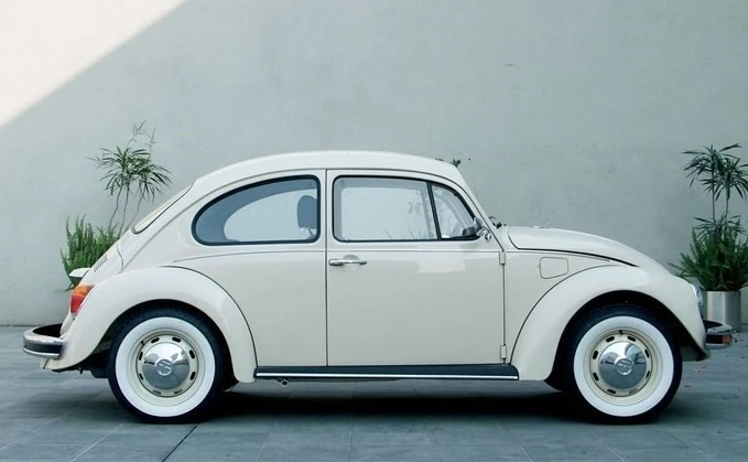White car | Cars species Wikia | Fandom