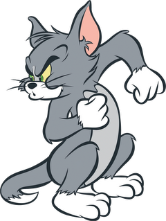 Tom The Cat Cartoon Characters Wiki Fandom Tom The Cat Cartoon Characters Wiki Fandom