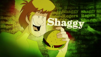 Shaggy Rogers