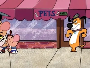 Kliknij tutaj, by zobaczyć galerię do artykułu {{{PAGENAME:Kundel marzeń}}}.