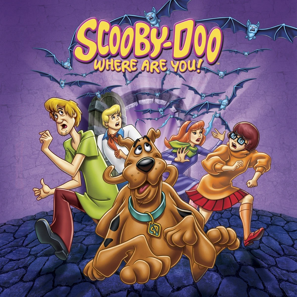 Scooby-Doo, Where Are You! | Cartoon Time Wiki | Fandom