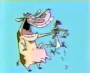 Cow holding Chicken by the neck.