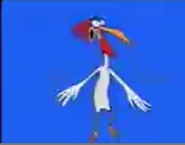 Chicken trying to fly.